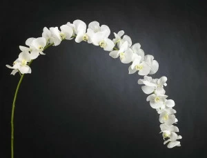 VGnewtrend Искусственное растение из полиэстера