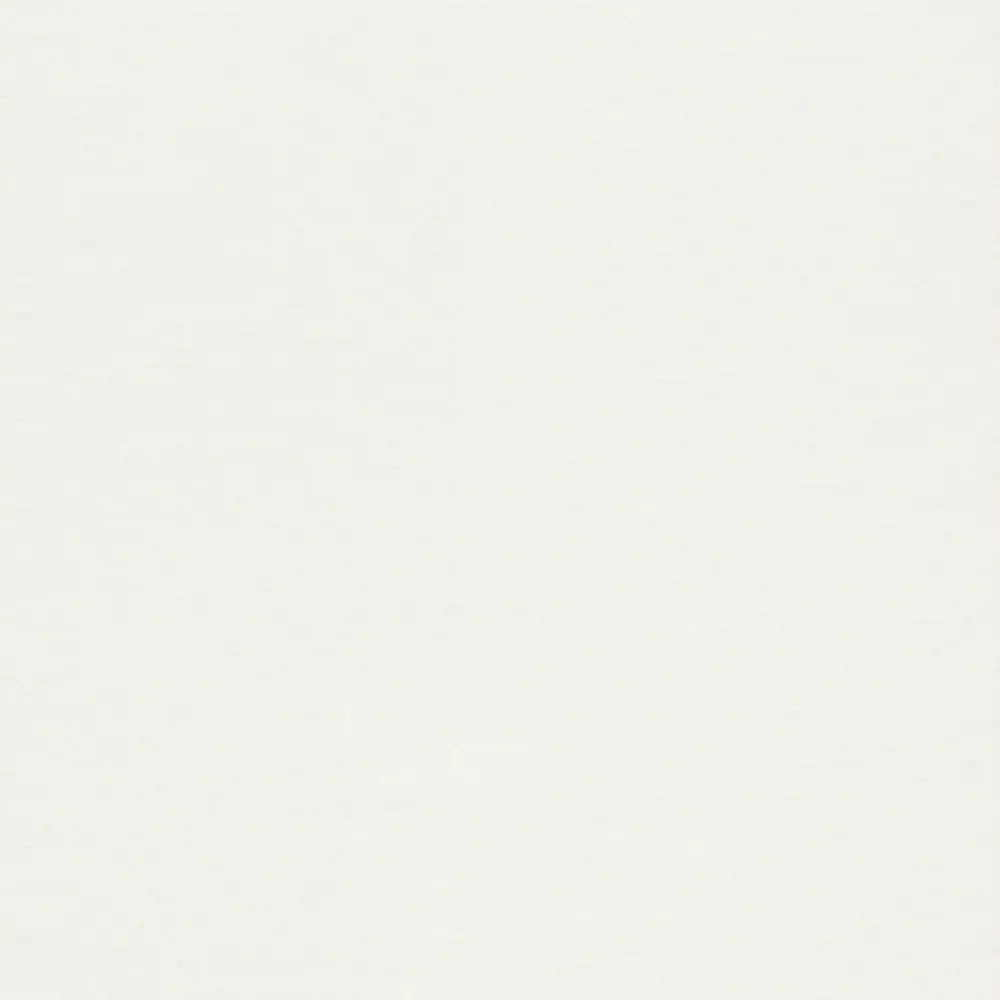 Холст флизелиновый Ra177602 1.06х25 м 13445754 STLM-2062621 Rasch 