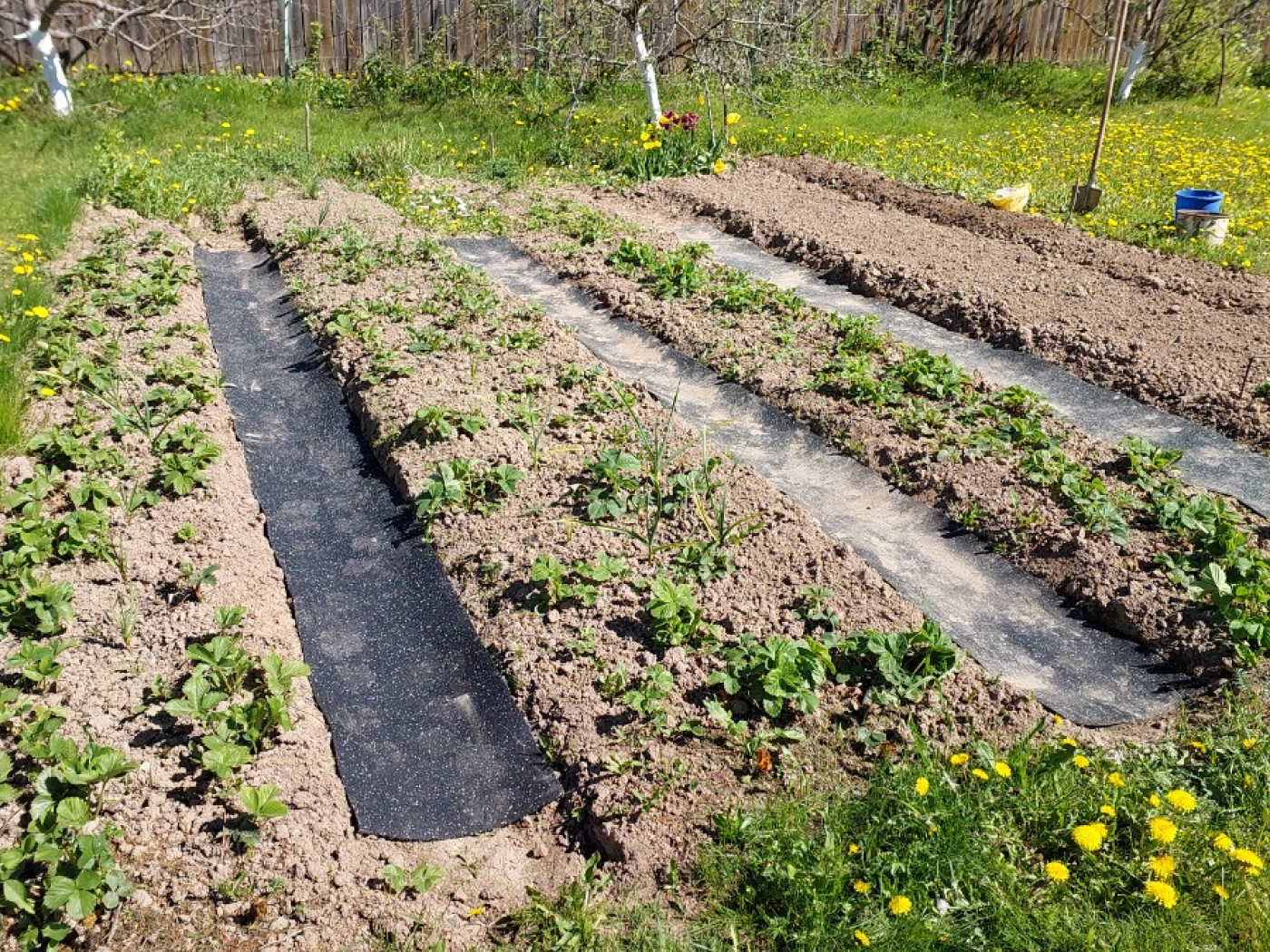 20.3.3AG.Bc Садовая дорожка резиновая Alegria garden  - Вид №5