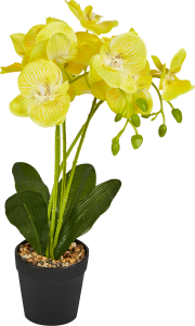 86858385 Искусственное растение Орхидея в горшке ø14 ПВХ цвет золотой STLM-0072107 Santreyd