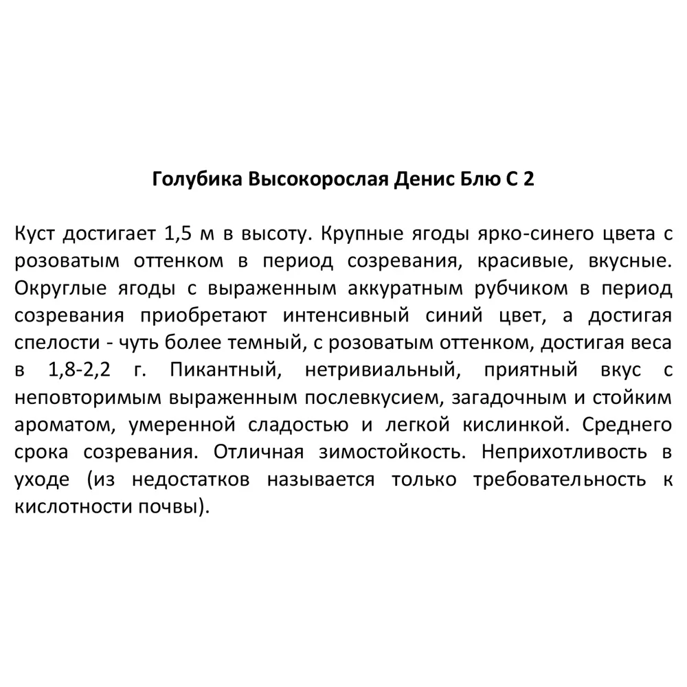 Голубика высокорослая Денис Блю ø17 h30 см 85325553 STLM-2013378 Santreyd  - Вид №3