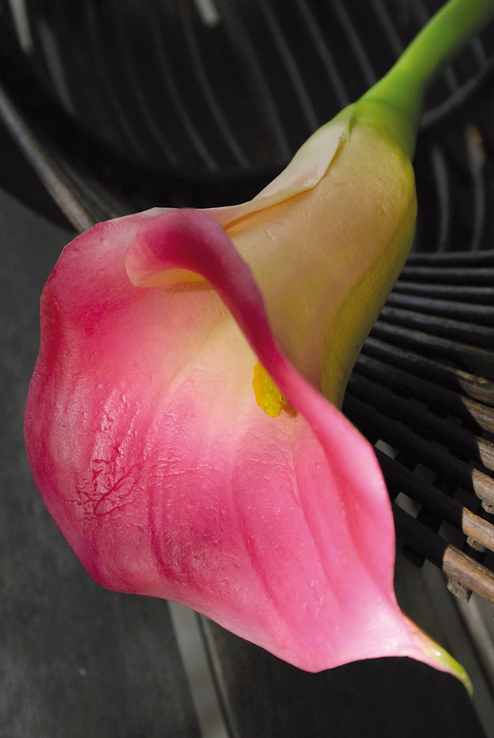 3829 515 a3 Пластиковая калла, 68 см, real touch soft, розовая H-andreas  - Вид №4