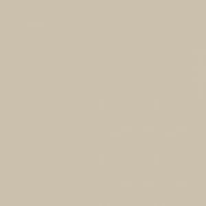 Рулон обоев ARC EN CIEL CFT62259010. Основа