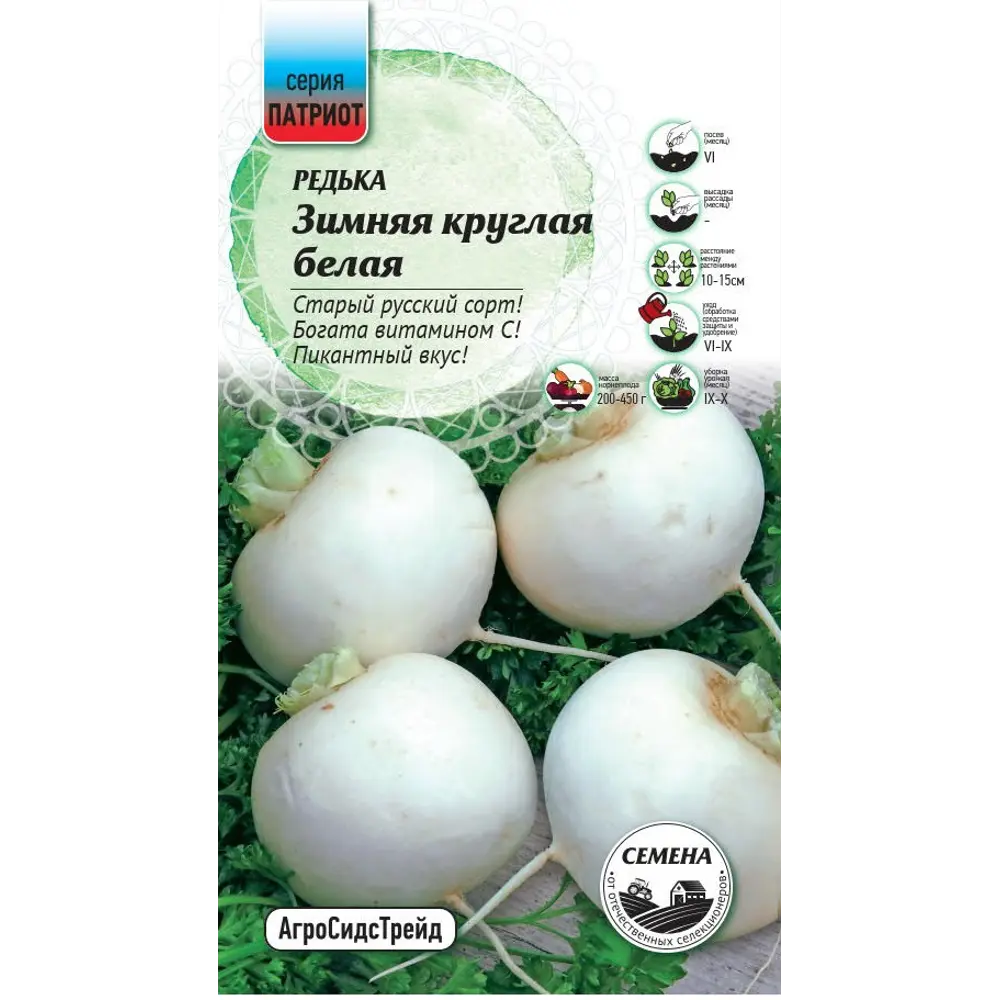 Семена овощей Патриот редька Зимняя круглая белая 89405134 STLM-2008484 Santreyd 