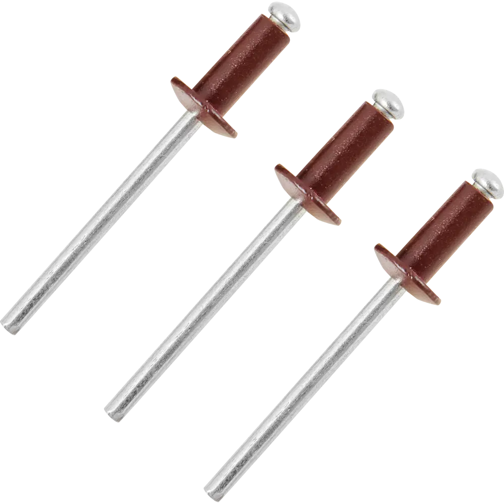 Заклепка RAL3005 красная 4x10 мм, 50 шт. 86487283 STLM-2198690 Santreyd 
