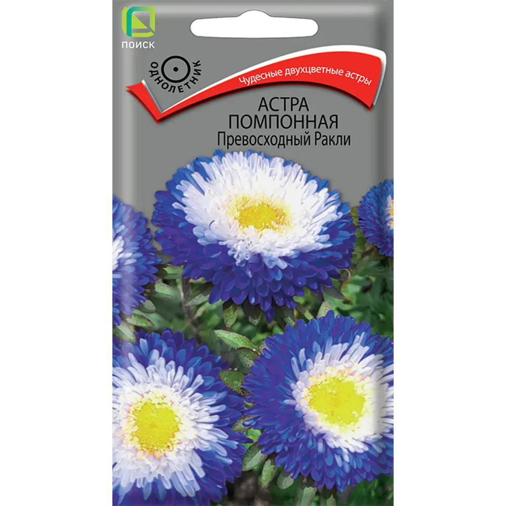 ПОИСК Астра помпонная Энканта еллоу - солнечные двухцветные соцветия 89401099 STLM-1567275