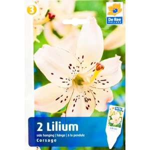 Лилия «Корсаж» 82351126 STLM-2059590