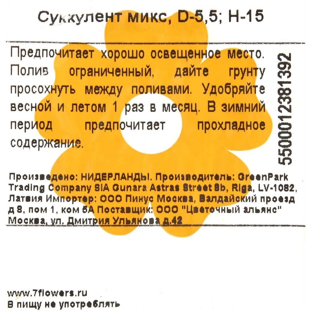 Суккулент микс 5.5x15 см 82399787 STLM-2150530 Santreyd  - Вид №2