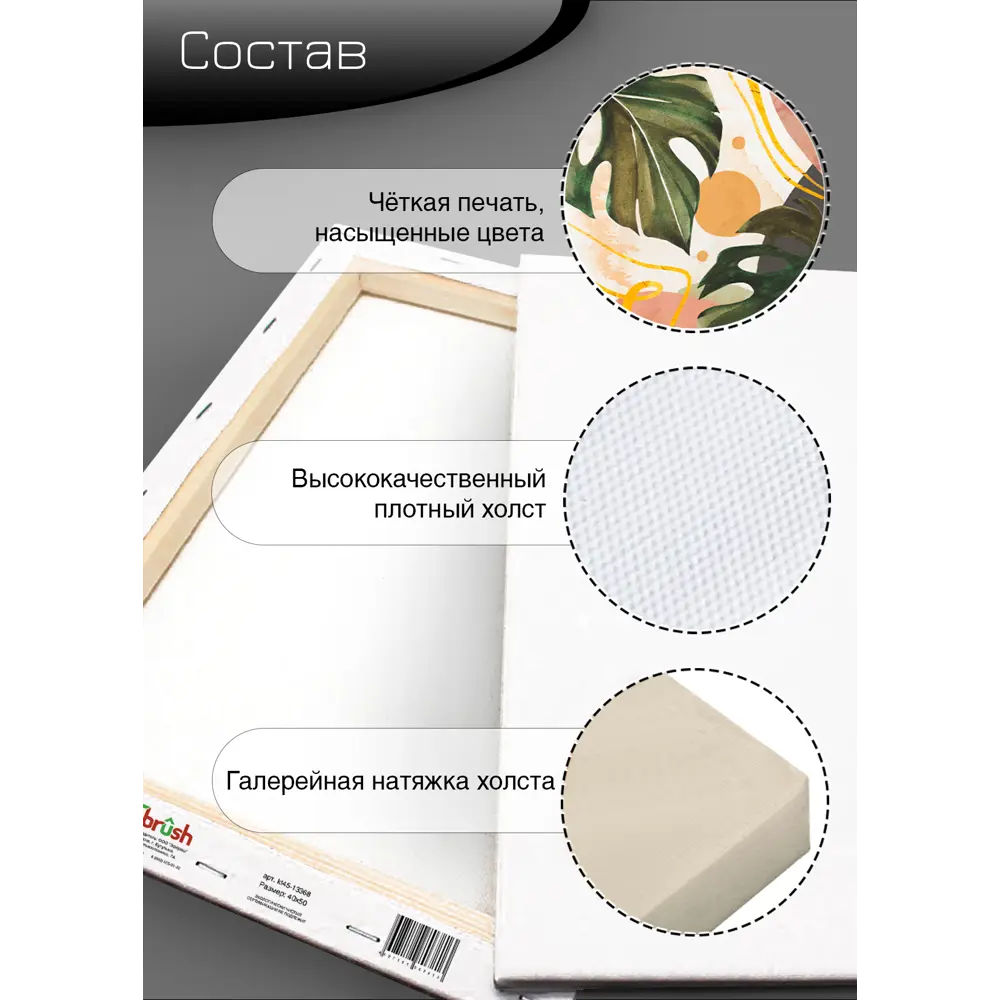 Картина на холсте Ботаника Бохо 2 40x50 см FBRUSH STLM-2096168 - Вид №9