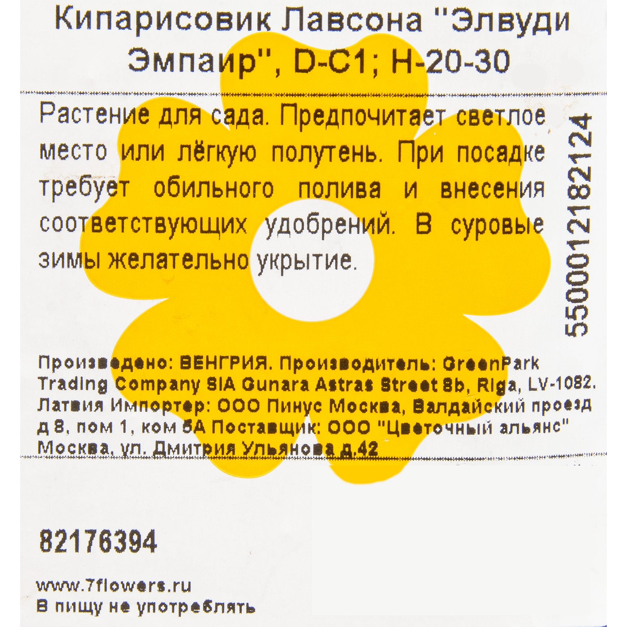 82176394 Кипарисовик Лавсона «Элвуди Эмпаир» 1 л 20 см Santreyd  - Вид №1