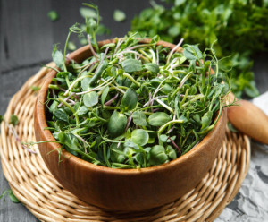 9723 Микс из микрозелени "Грин Микс" Вкусляндия