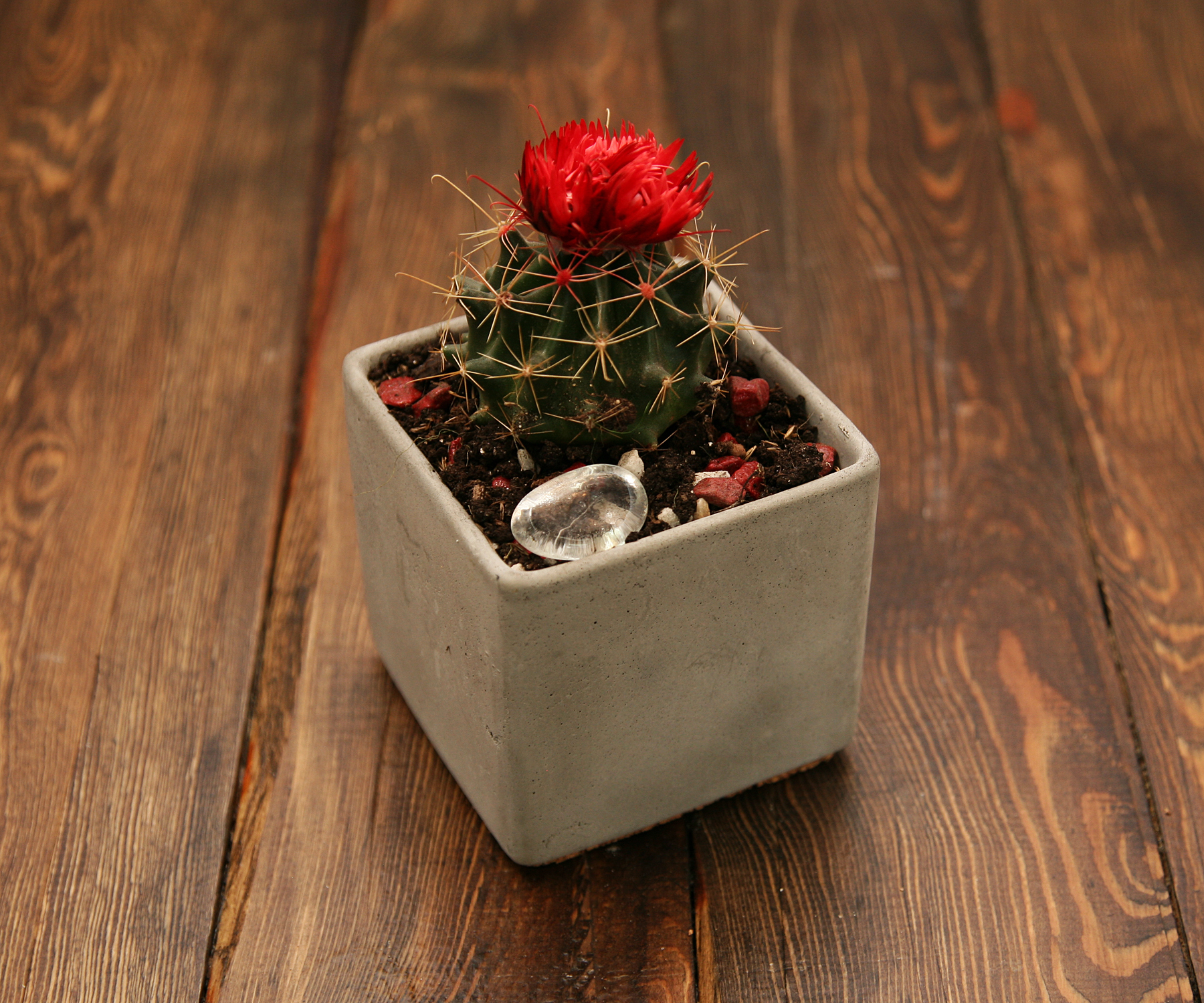 2000983104700 Кашпо Блок COSMO RED  - Вид №4