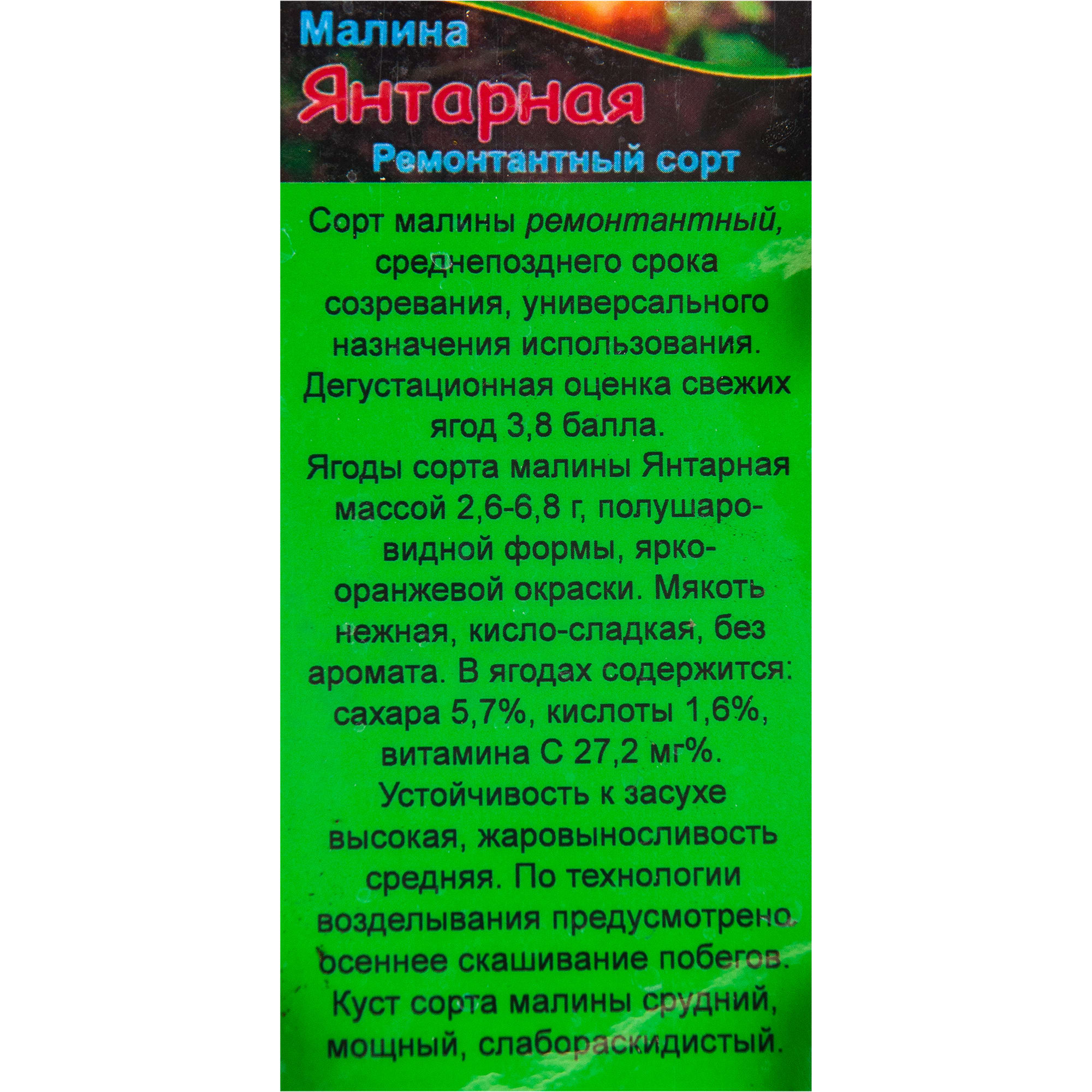 82601709 Малина садовая «Янтарная» 1.5-2 л высота 20-40 см Santreyd  - Вид №1