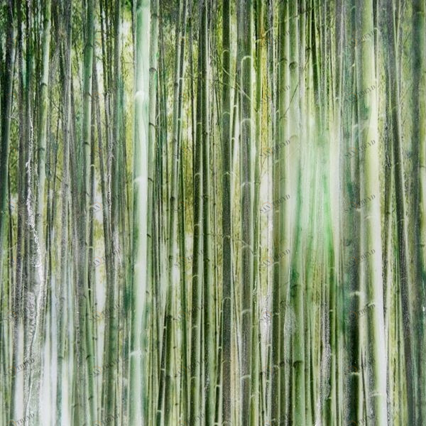 Арт-панель на холсте Alex Turco Organic Bamboo Forest In Green BAMBOOFORESTINGREEN