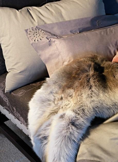 KOHRO Однотонная моющаяся ткань sun-id-1439205 - Вид №1