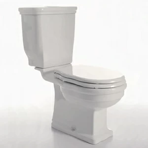 WINVAMSBWINCAMB Компакт унитаз с бачком Белый Ceramica Cielo WINDSOR Италия