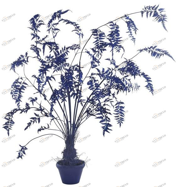 Pols Potten Искусственное растение из пластика  540-300-015 