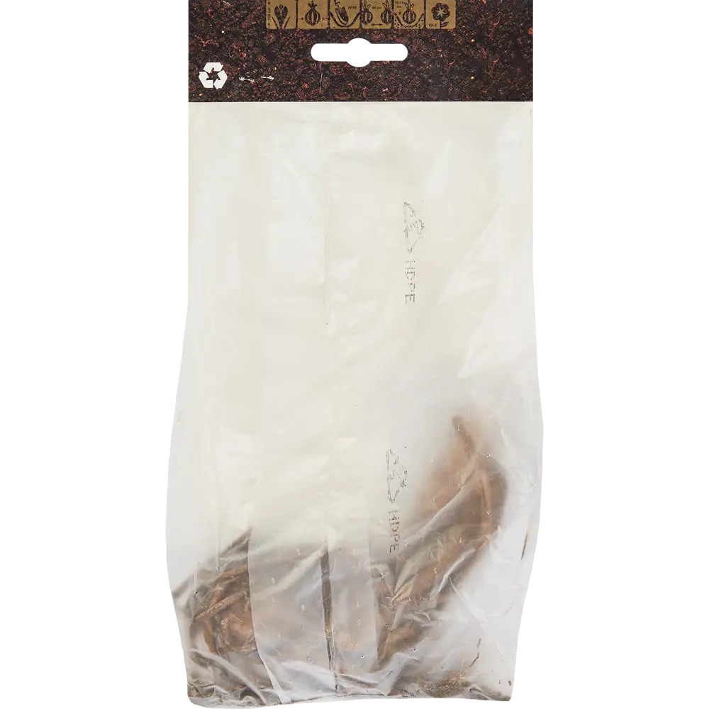 Георгина кактусовая Бергерс Рекорд Santreyd STLM-2062586 - Вид №1