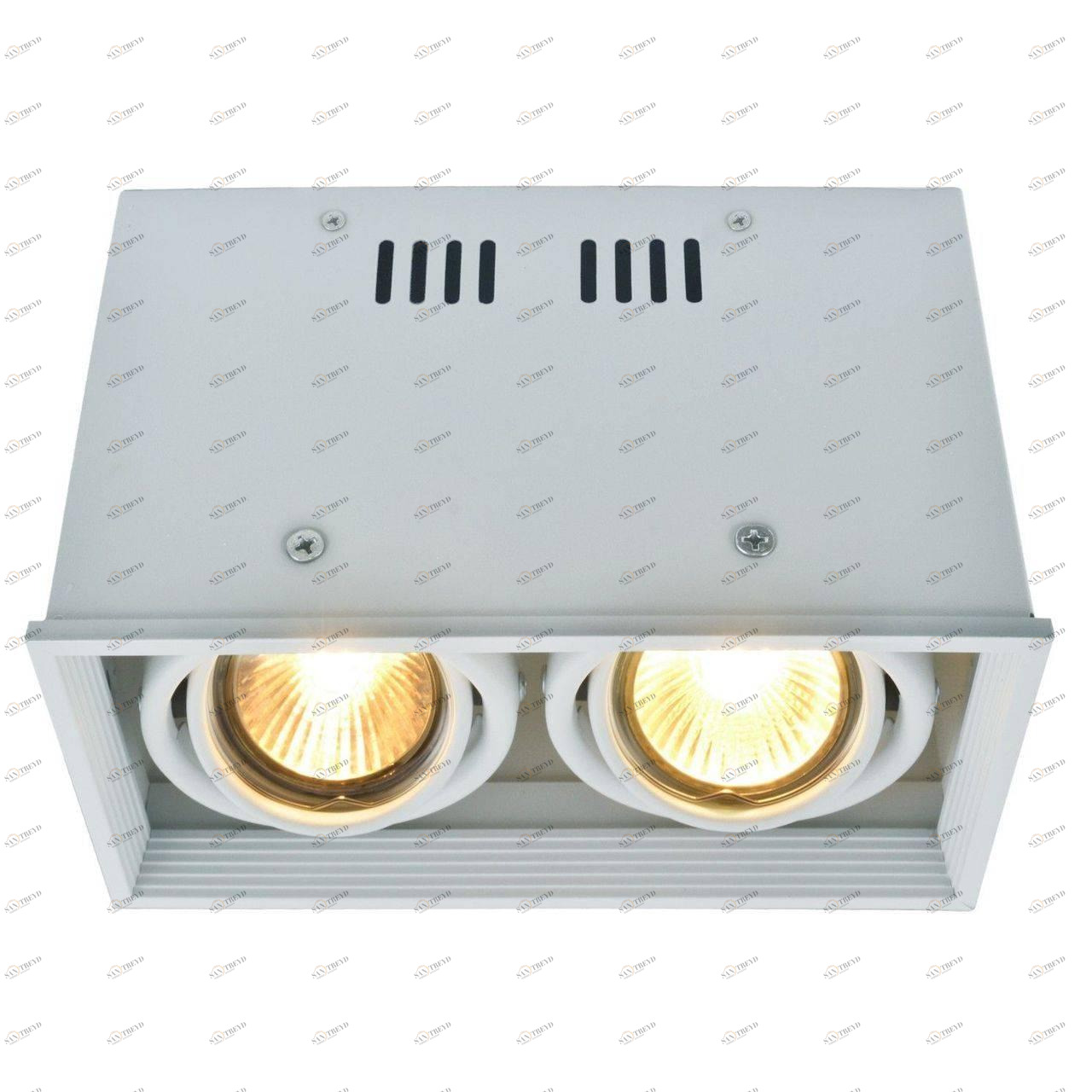 Потолочный светильник Arte Lamp Cardani A5942PL-2WH ARTE LAMP CARDANI WHITE 082905 Белый 