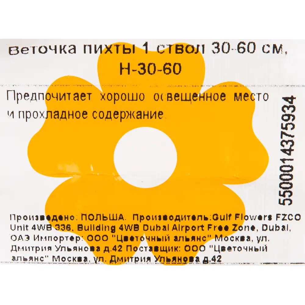 Ветка Пихты живая срезанная 30-60 см 83500351 STLM-2075447 Santreyd  - Вид №3
