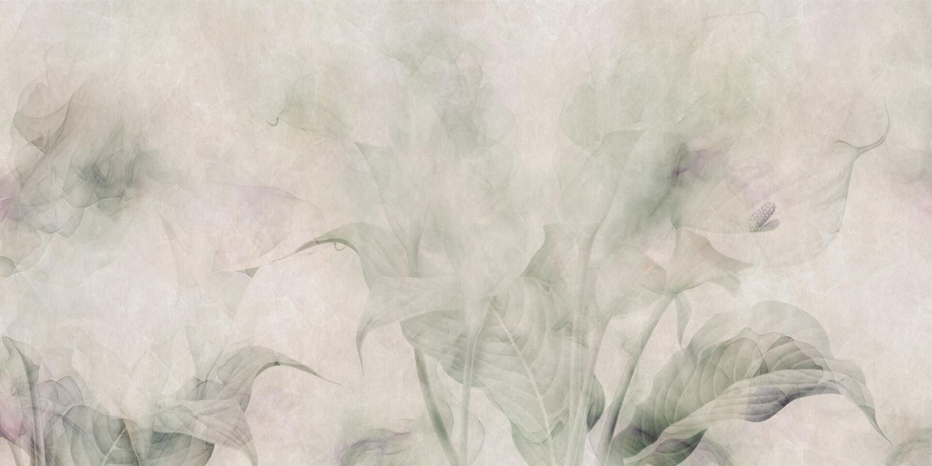 Обои Rimura ARUM LILY ARCH-00005923 - Вид №1