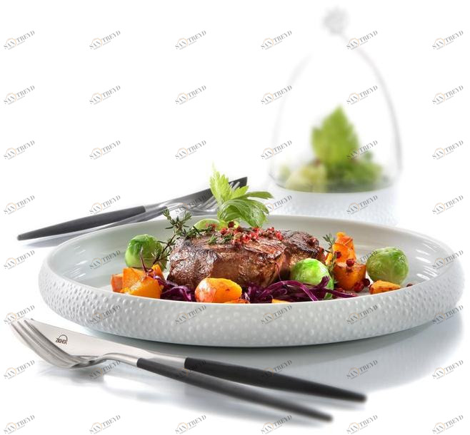 Zieher Суповая тарелка из фарфора Cuspis 4389.25pb 