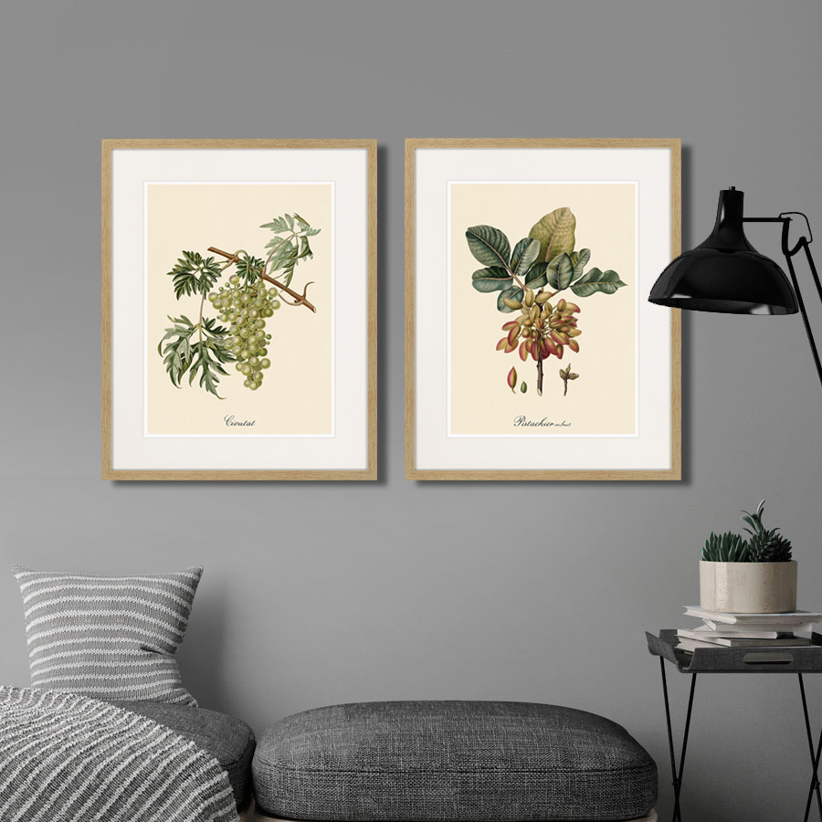 Картина в раме 52х42 см Juicy fruit lithography №8, 1870г. КАРТИНЫ В КВАРТИРУ  264430 Бежевый;зеленый;разноцветный  - Вид №2