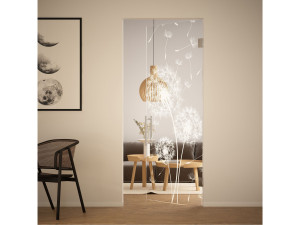 Стеклянная распашная дверь