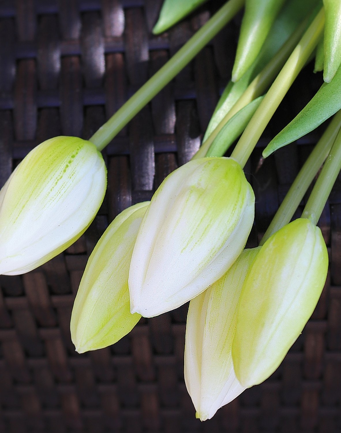 2942 708 a3 Букет тюльпанов из шелка, 7-кратный, 44 см, real touch, бело-зеленый H-andreas 