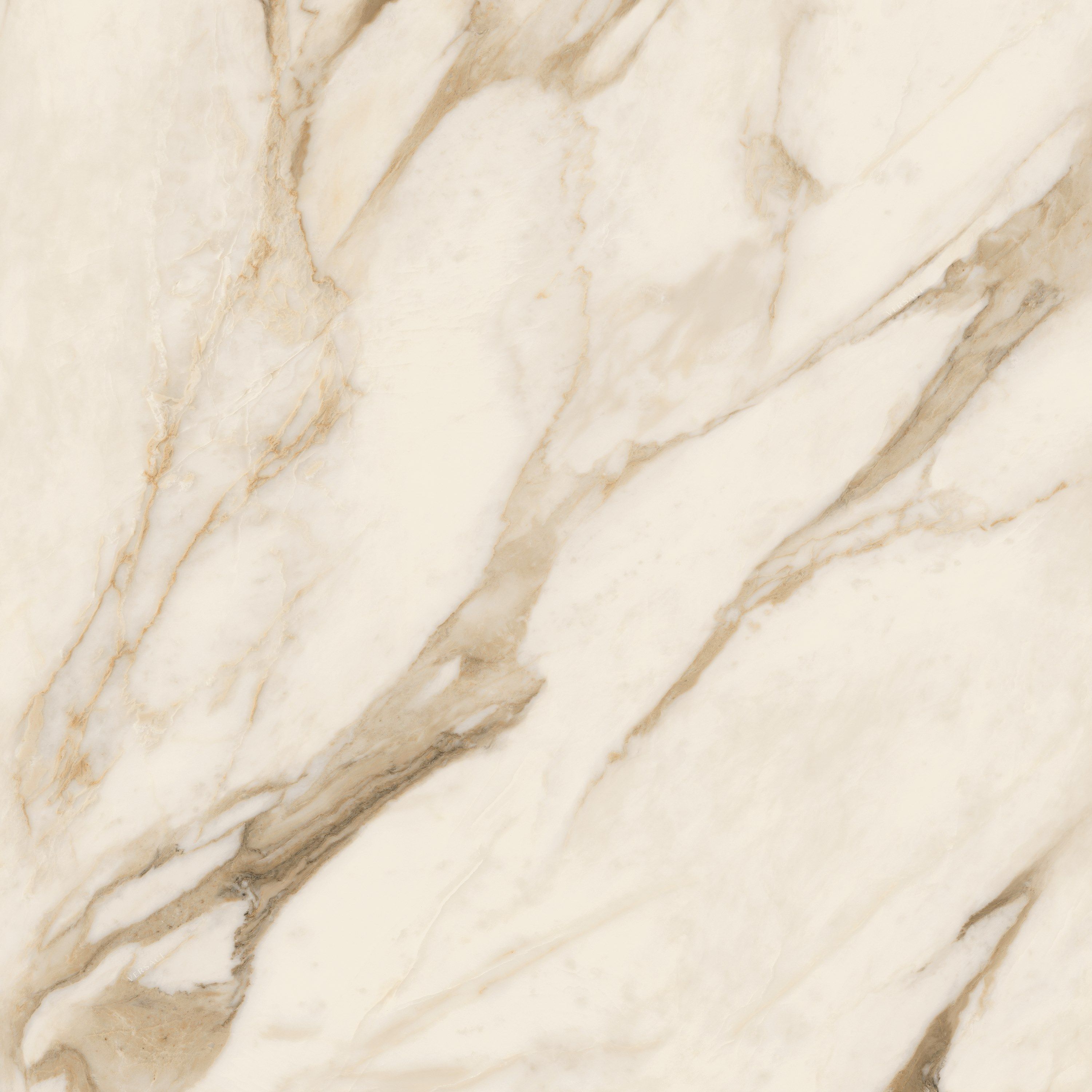 Пол / керамогранит с мраморным эффектом Versace Ceramics Maximvs ARCH-00065418 - Вид №5