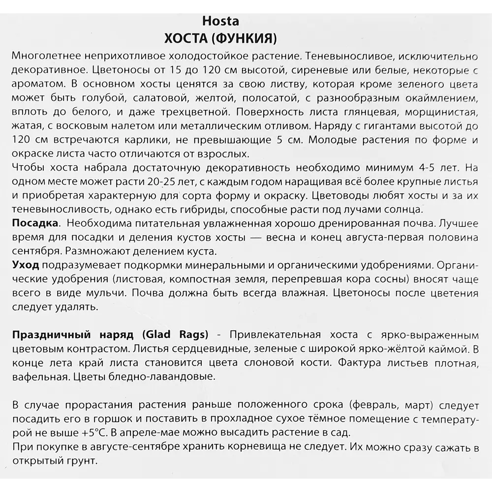 Хоста гибридная Глед Рэгс 89351835 STLM-2039258 ПОИСК  - Вид №2