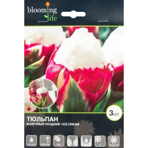 Тюльпан Айс Крим 11/plus, 3 шт. 13740171 STLM-2196742