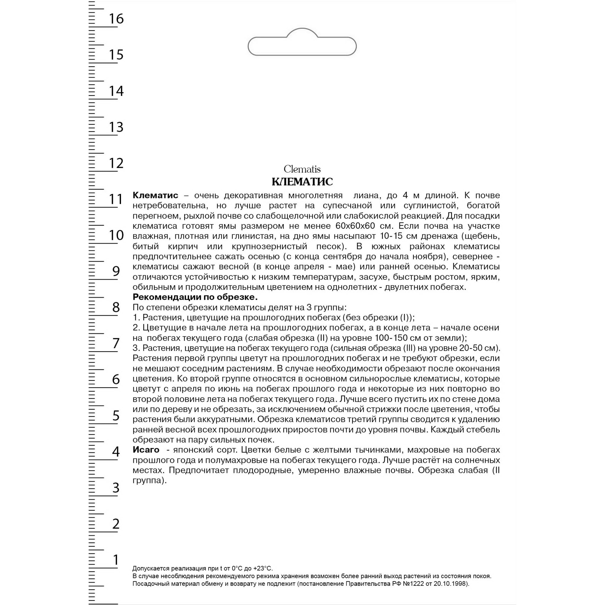 82527542 Клематис крупноцветковый Исаго в капере Santreyd  - Вид №1