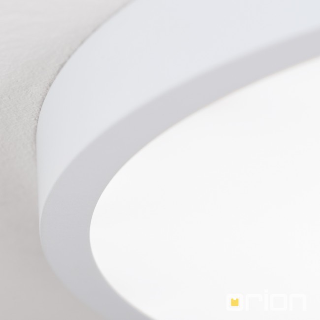 Orion DL 7-644/60 белый потолочный светильник 117691 - Вид №2