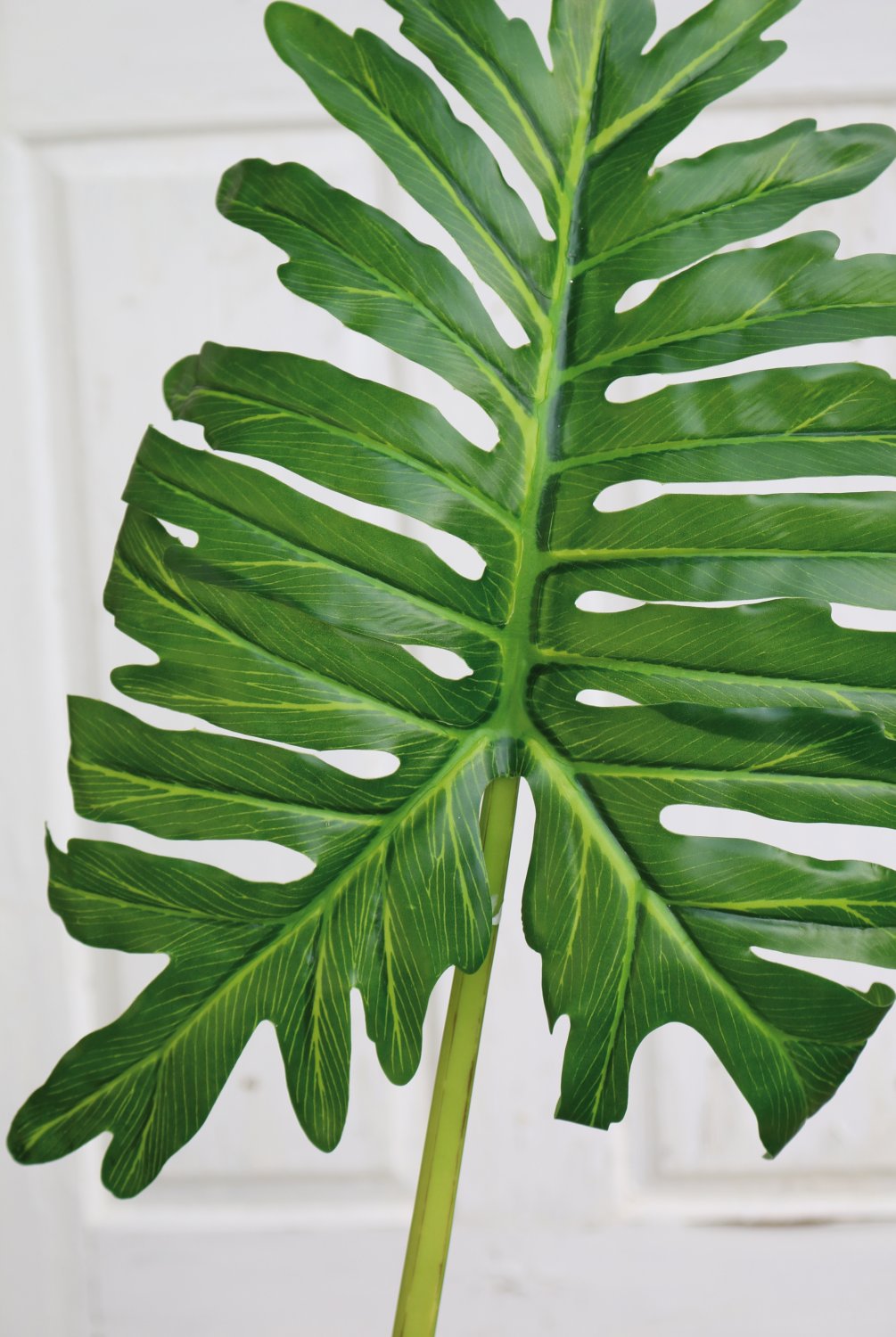5281 883 a3 Искусственный колотый лист Вайя филодендрона, 91 см, зеленый H-andreas  - Вид №3