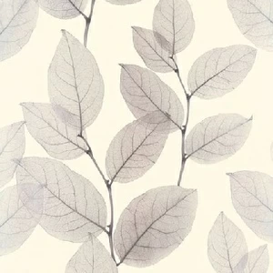 34247-2 Обои A.S. Creation X-Ray