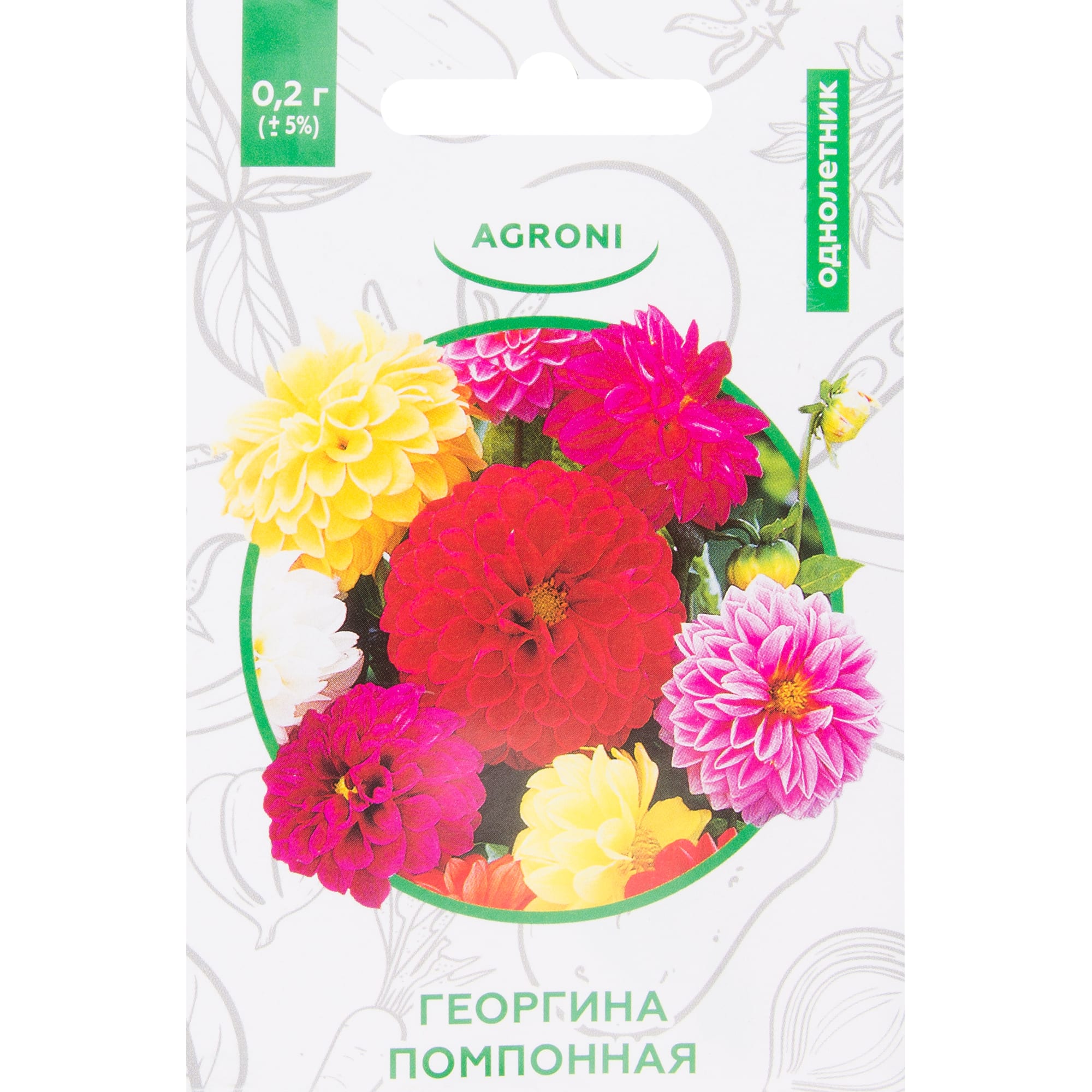 82457720 Георгина помпонная XS Santreyd 