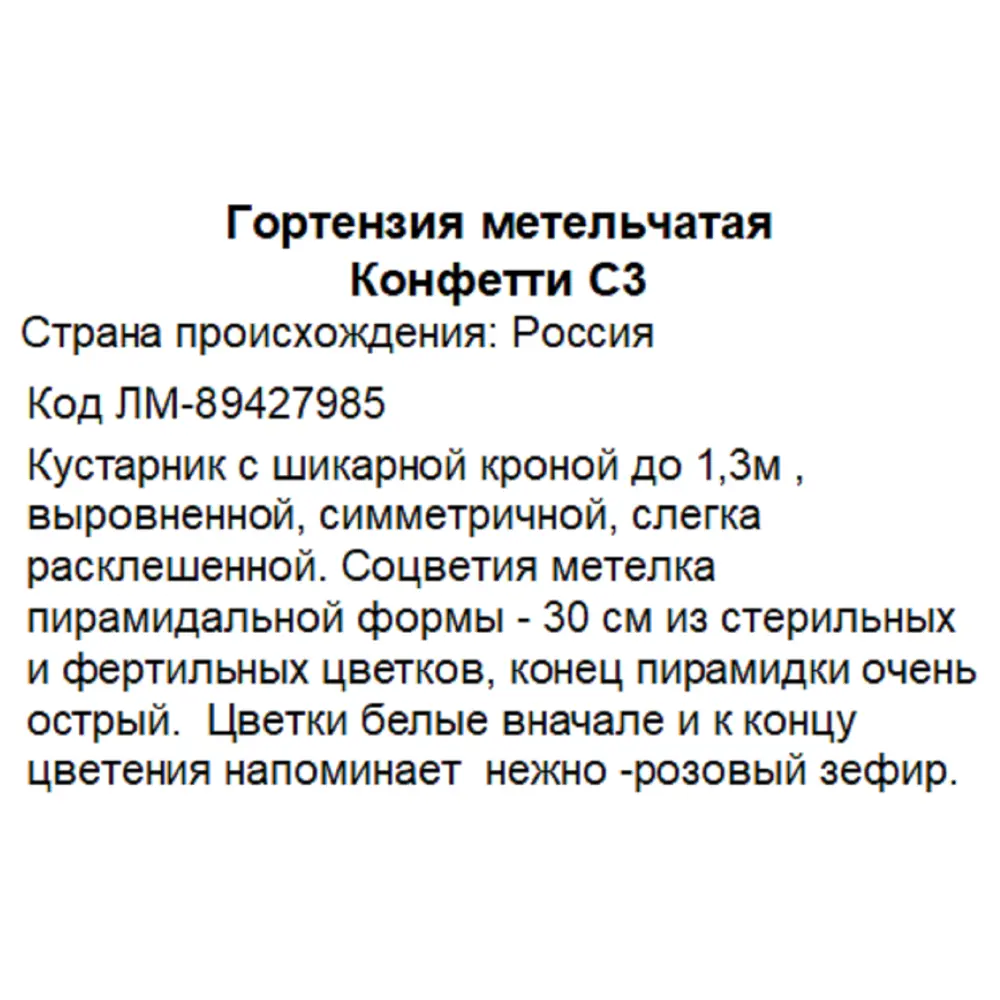 Гортензия метельчатая Конфетти — саженец с бело-розовыми соцветиями 89427985 Santreyd STLM-1583019 - Вид №2