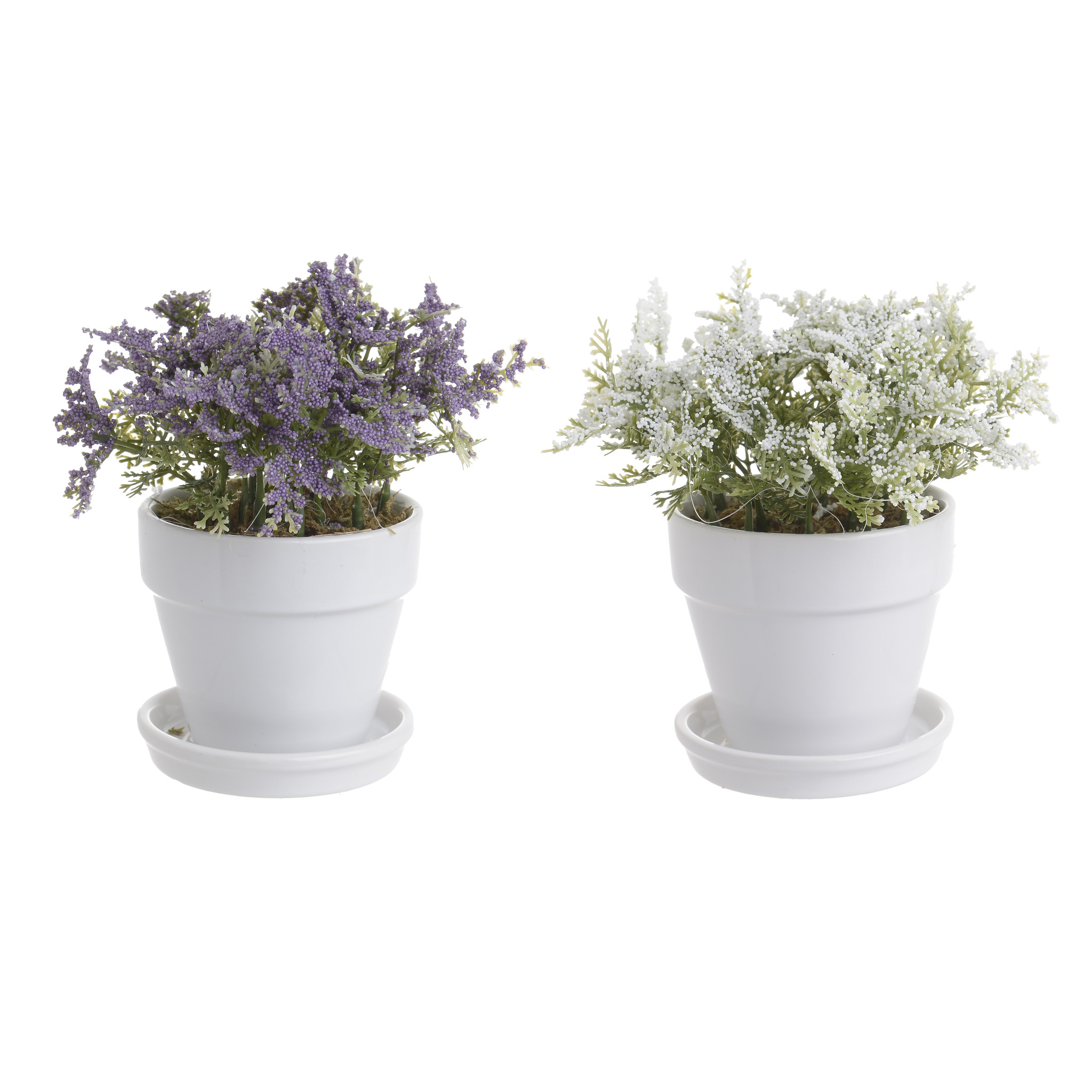 3885475.0182 искусственный цветок в кашпо, 2 дизайна TO4ROOMS  - Вид №1