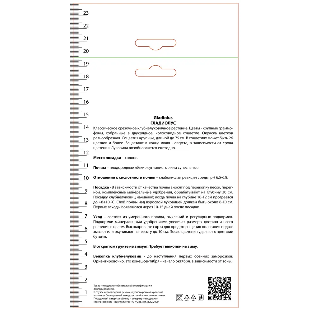 Гладиолус крупноцветковый Эста Бонита, 3 шт 89452312 STLM-2192693 ПОИСК  - Вид №1