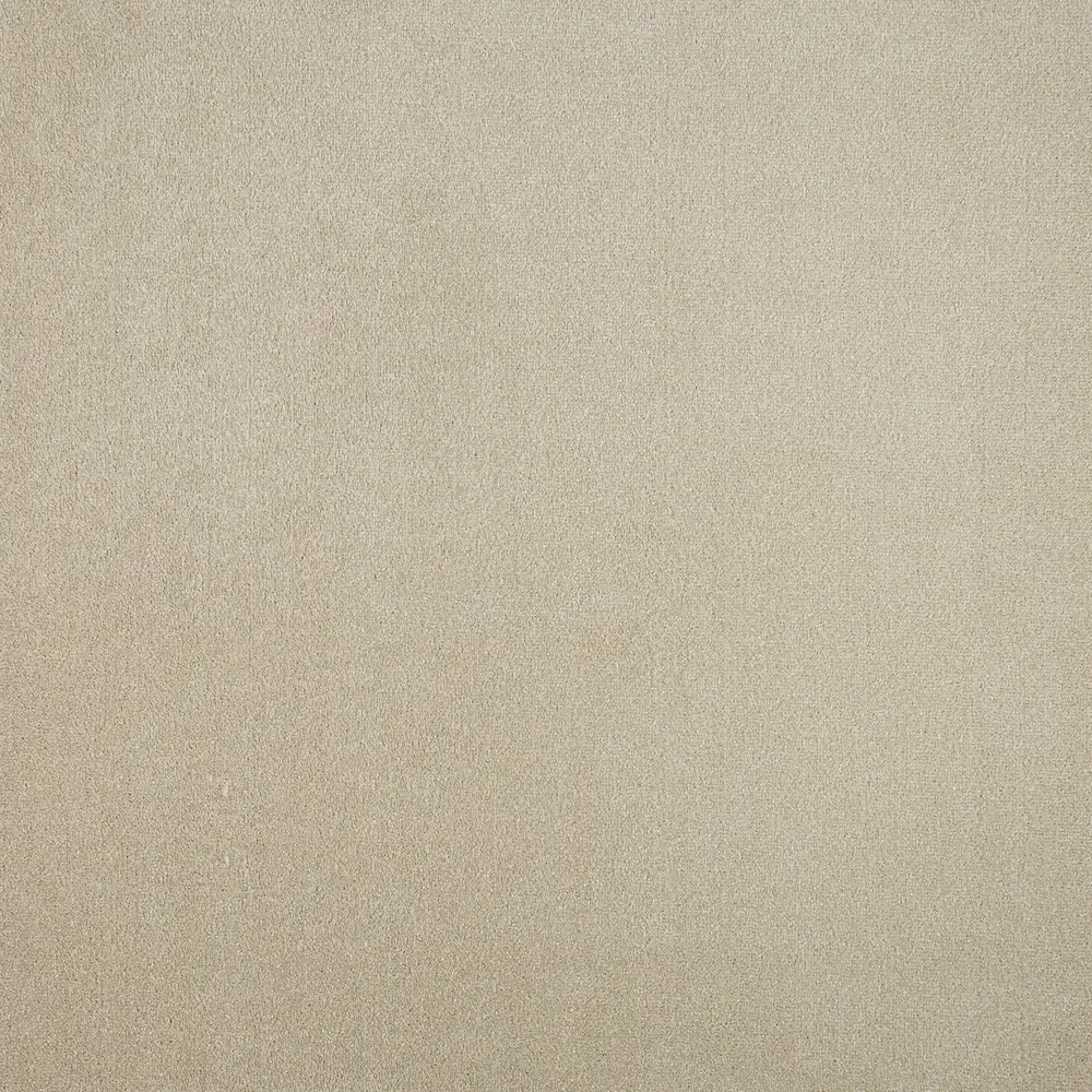 ЗАРТЕКС Ковролин Парадиз 590 с эффектом SOFT, бежевый 81967242 STLM-0015991