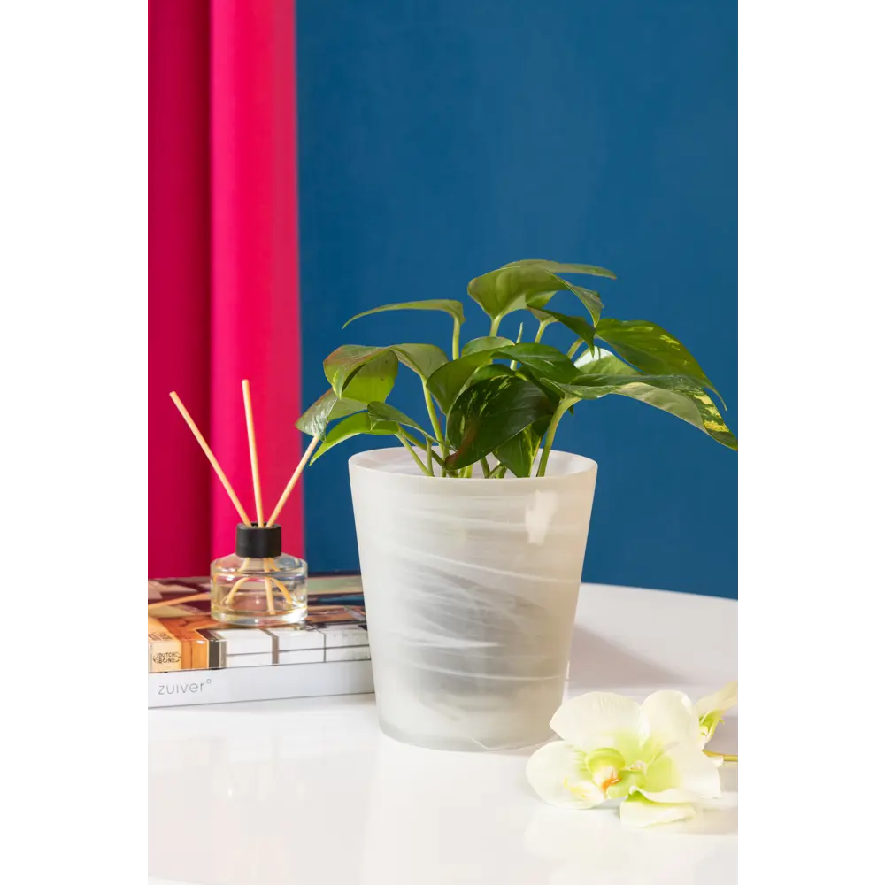 Кашпо для орхидей ø14 h15 см v1 л стекло белый NINA GLASS Бальзамин STLM-2202723 - Вид №4