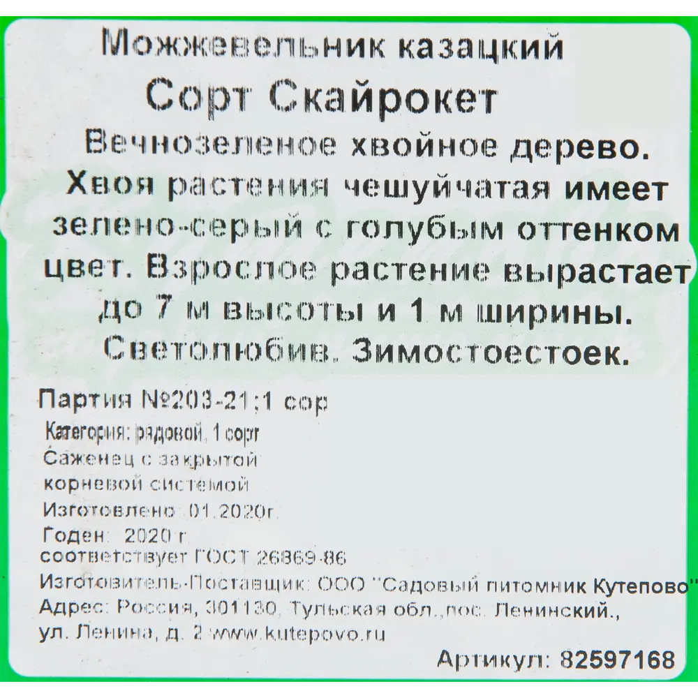 Можжевельник скальный «Скай Рокет» 15x30 см 82597168 STLM-2060477 Santreyd  - Вид №1