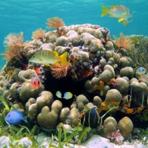 WP02450 Фотообои Verol Фотообои decoline 1х1 м