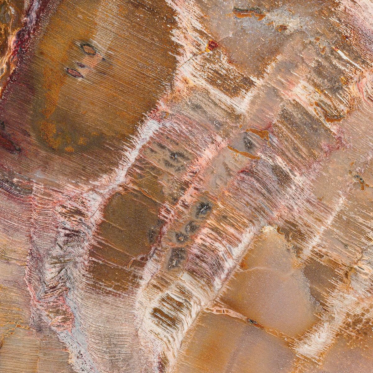 SICIS Marmorato Camel Cro Spathula sun-id-1991112