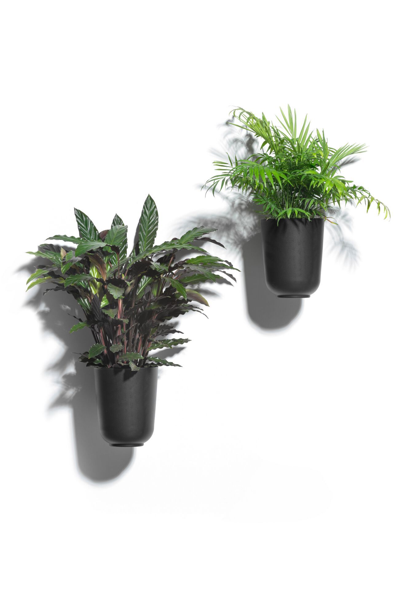 Плантатор из инженерного пластика GABER GUFO PLANTERS KIT 3 ARCH-00105166 - Вид №14
