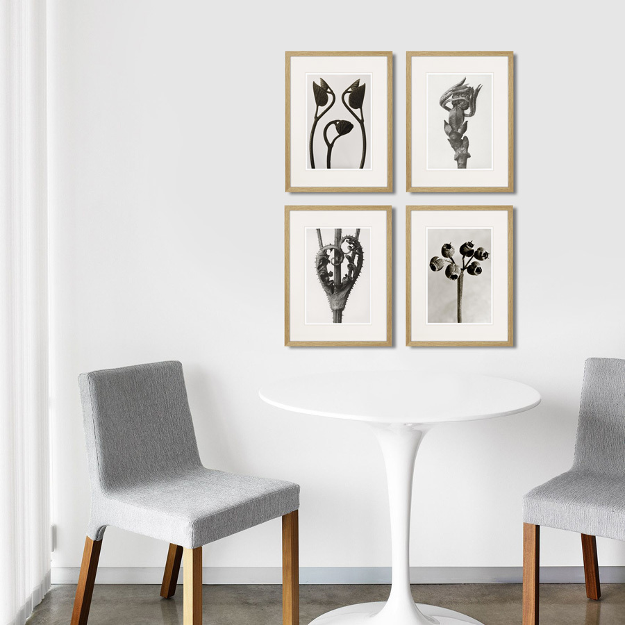 Картина: Botanical philosophy of forms №4, 1912г. КАРТИНЫ В КВАРТИРУ  264878 Разноцветный  - Вид №2