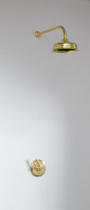 Скрытый душ Ben - тип A - розетка 8 дюймов, легко очищаемая Bill & Ben The water monopoly