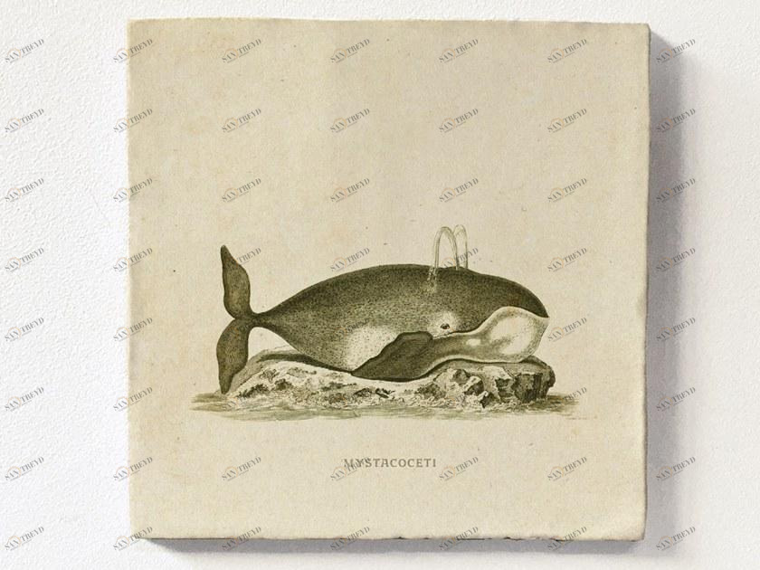 Groovy Magnets Настенный декоративный предмет из керамики Tiles M-tile-wh