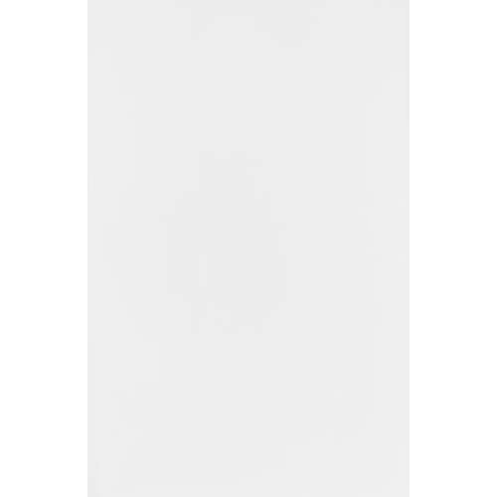 Santreyd Дверь для шкафа Лион София белая матовая 39,6x63,6 см 88967178 STLM-1078704